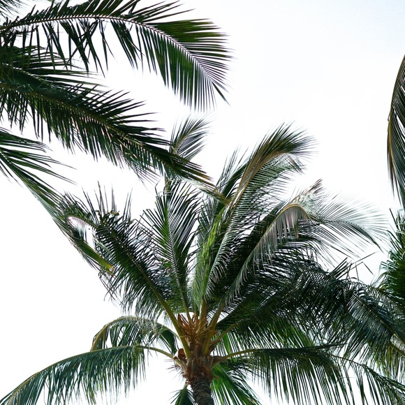 Meet your Posher, Kiana - Picture 1 of 2